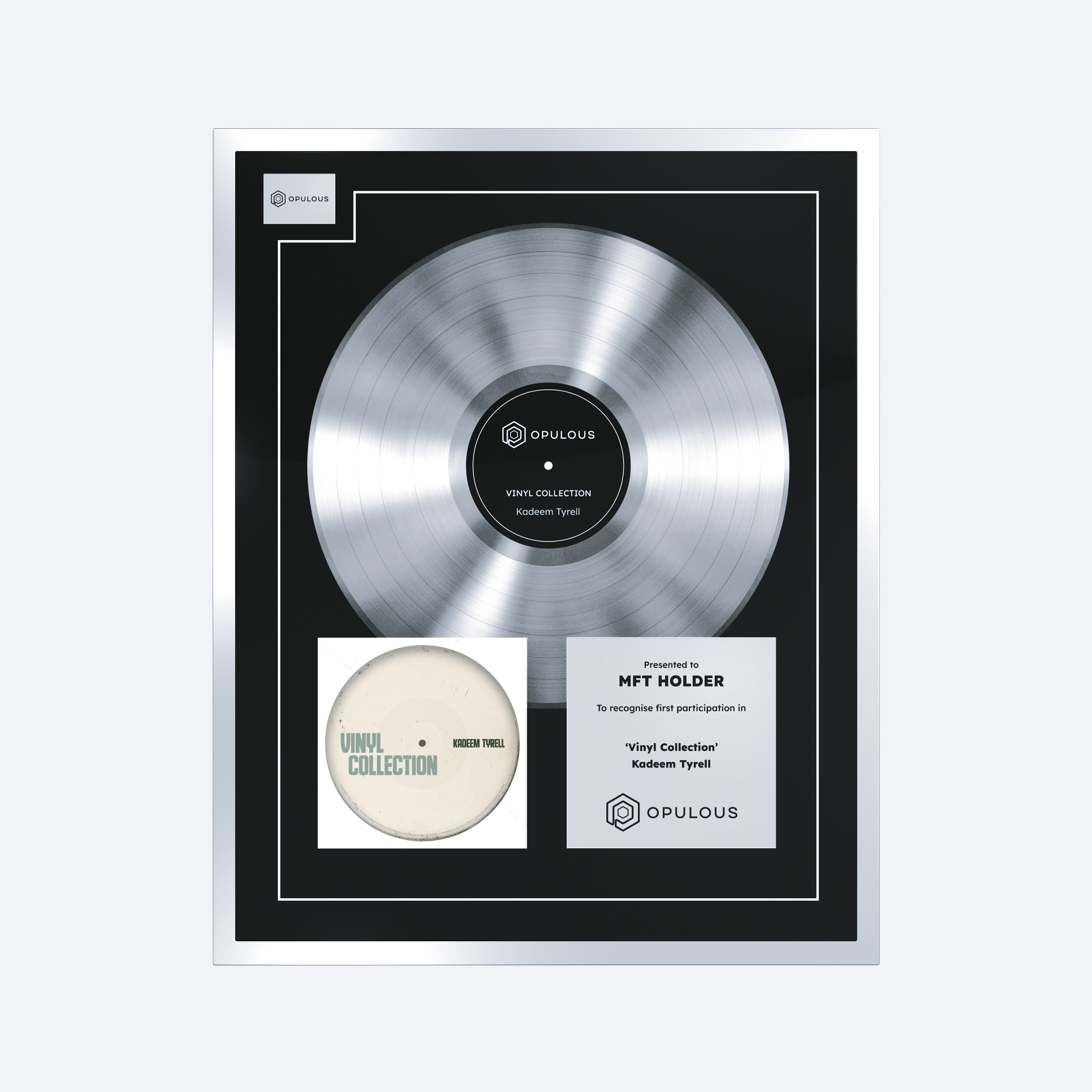 Vinyl Collection (Silver) icon